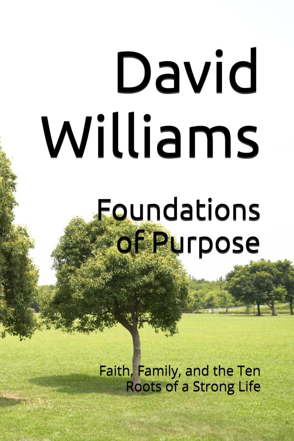Foundations of Purpose: Faith, Family, and the Ten Roots of a Strong Life