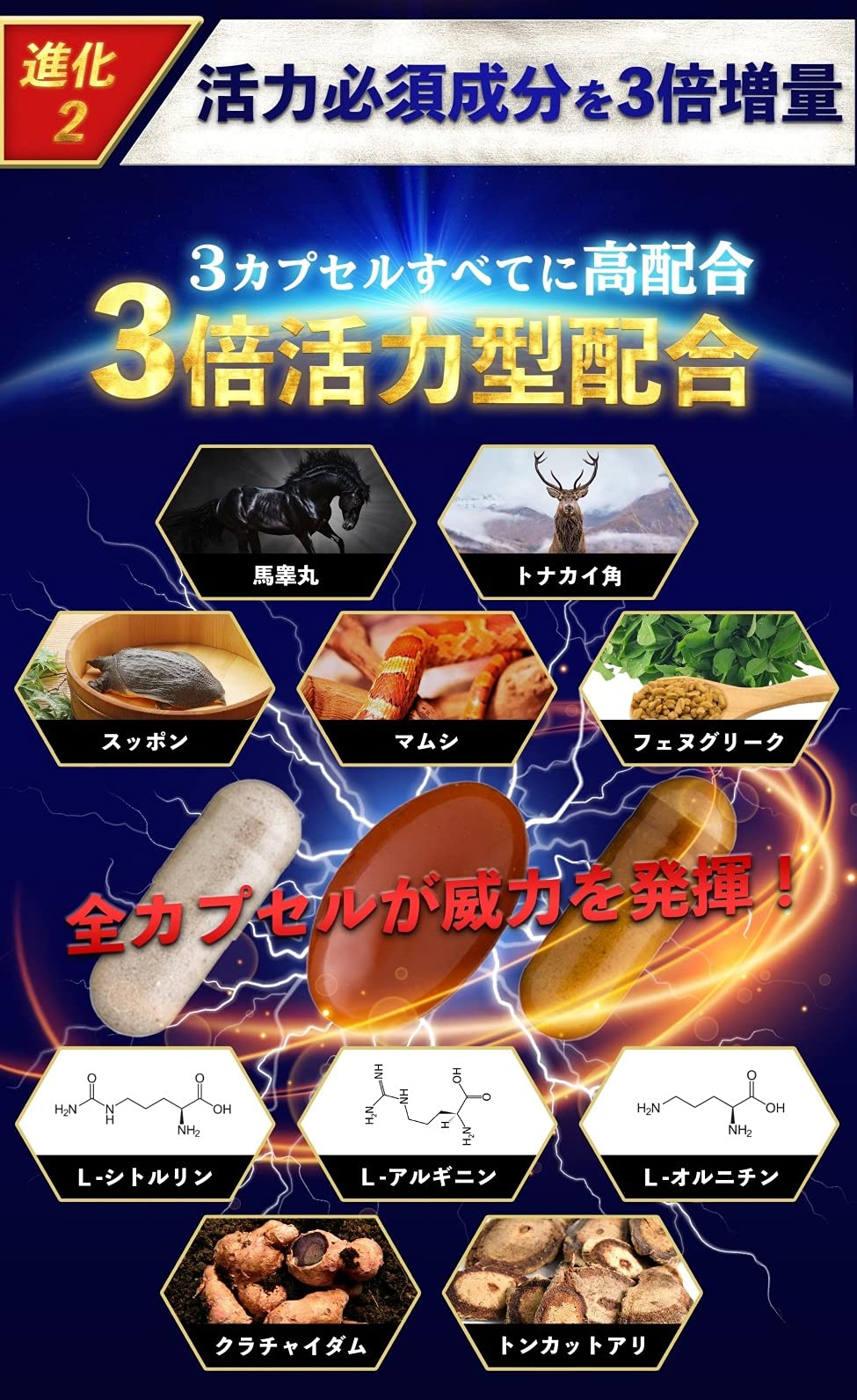 Amazon.co.jp: バリテイン221 3箱 業界随一 世界厳選221成分 3タイプ  