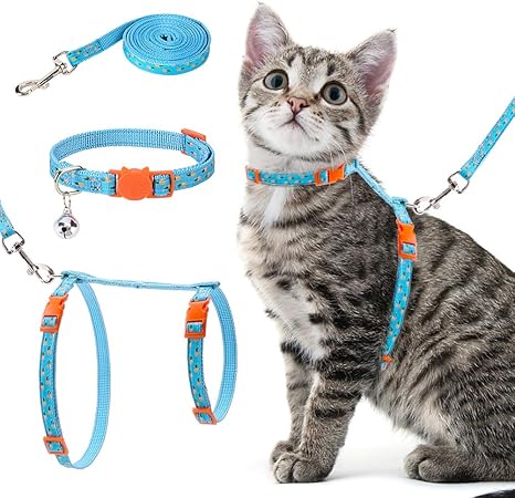 kitty harness amazon