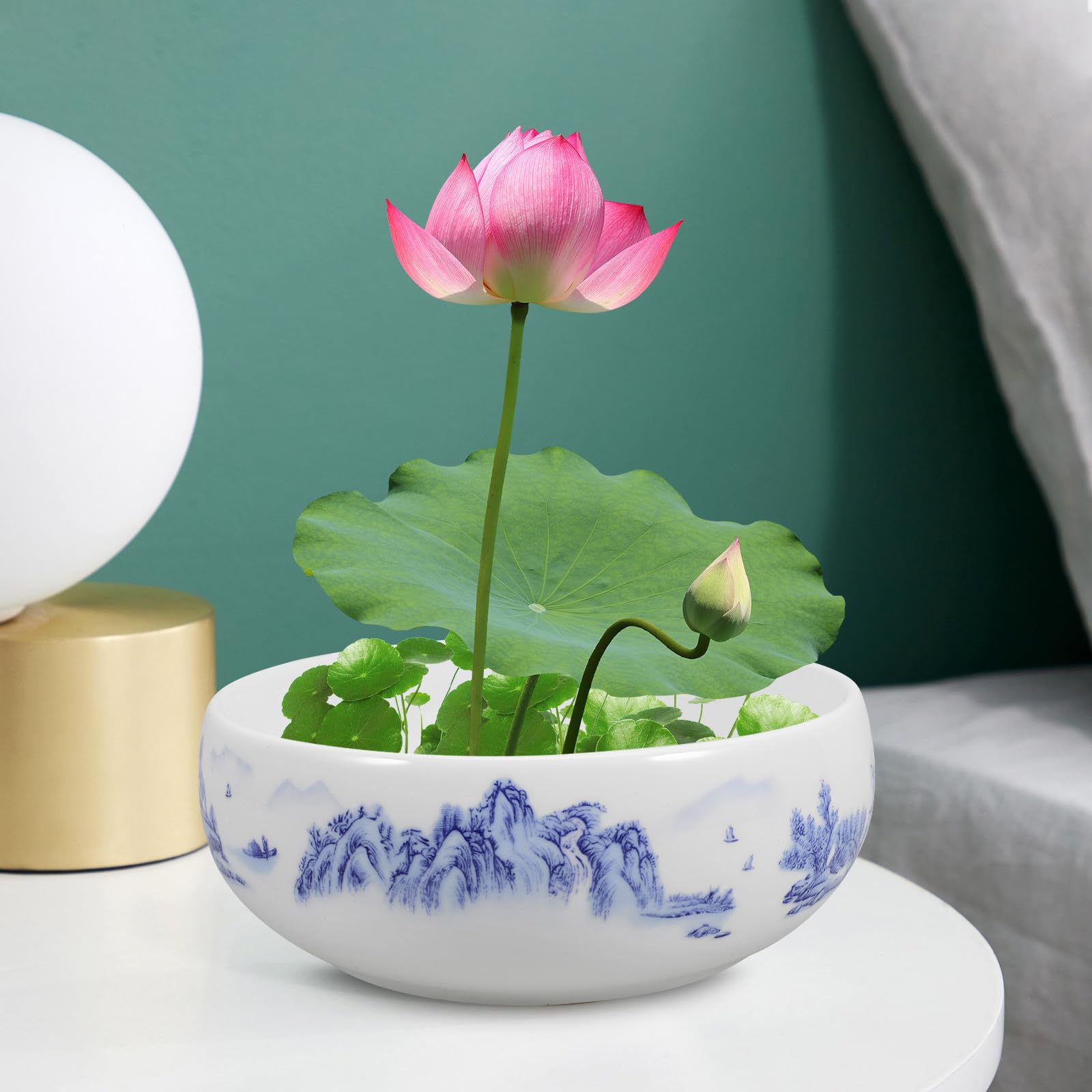 Luxshiny Pot de Fleurs Moderne en Céramique Décorative pour Plantes Succulentes et Fleurs, Design Artistique et Lumineux pour Salon Cuisine Plusieurs Styles