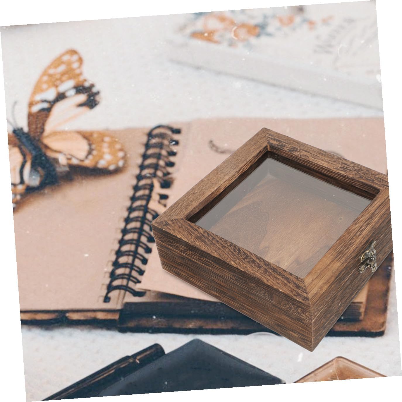 BESTYASH Box Butterfly Specimen Box Vintage Cases Collectible Mini Entomology Showcase Keepsake Insect Display Case Jewelry Preserving Container Sample Specimen Display Wood
