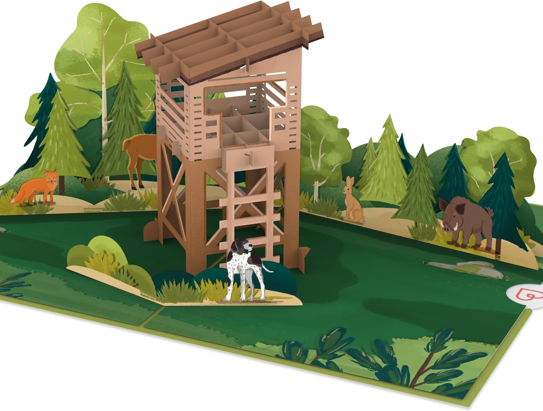 papercrush® Popup Card Perch - Special 3D Birthday Card for Men (Husband, Uncle, Brother), Congratulations for Hunting License, Fathers Day Card, Gift Voucher for Hunter or Nature Lover