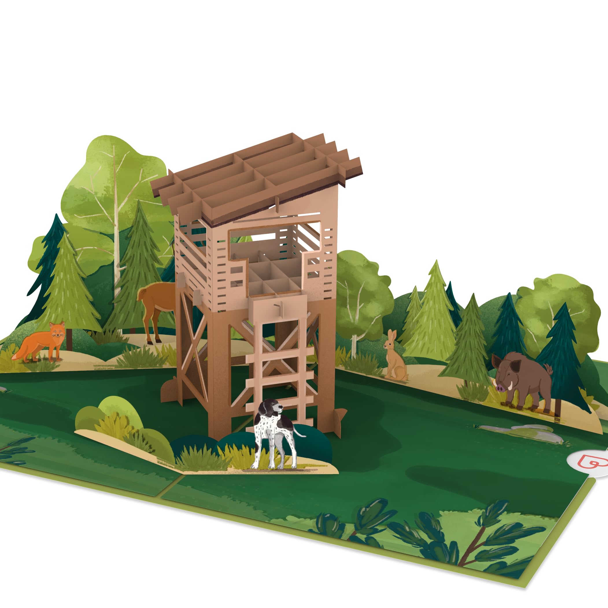 papercrush® Popup Card Perch - Special 3D Birthday Card for Men (Husband, Uncle, Brother), Congratulations for Hunting License, Fathers Day Card, Gift Voucher for Hunter or Nature Lover