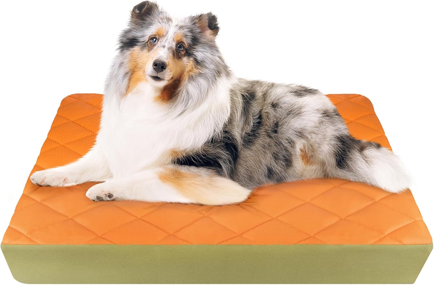 35.5" x 23.5" x 4.7" Large Orthopedic Dog Beds, Waterproof Faux Leather Memory Foam Dog Bed, Egg Crate Foam Support & Non-Slip Bottom Pet Beds for Medium Dogs and Large Dogs, Easy to Clean