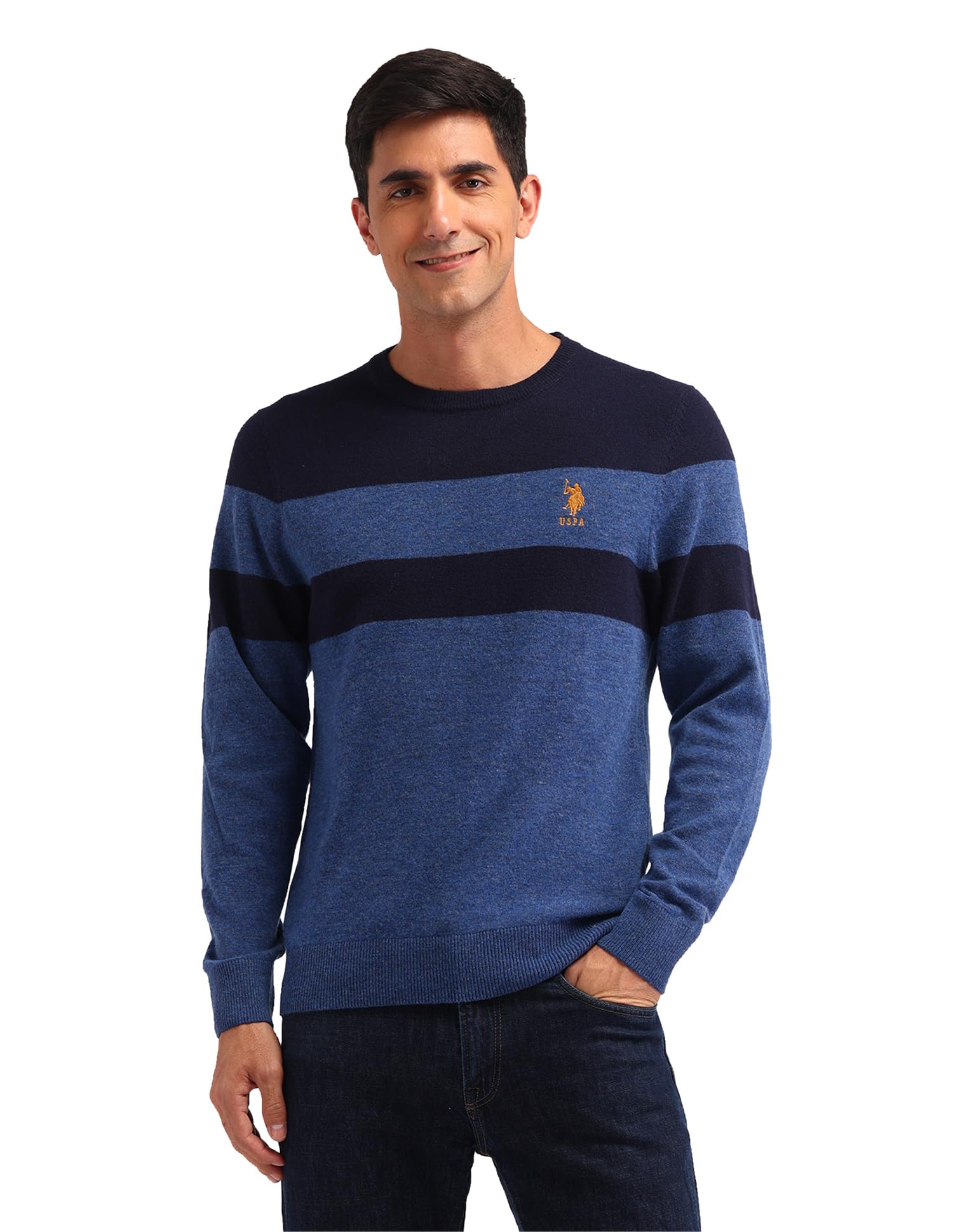 Mens Blue Colour Blocked Crewneck Longsleeve Casual Wool RegularFit Sweater-image-34