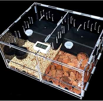 71JooOD7nbS._AC_UF350,