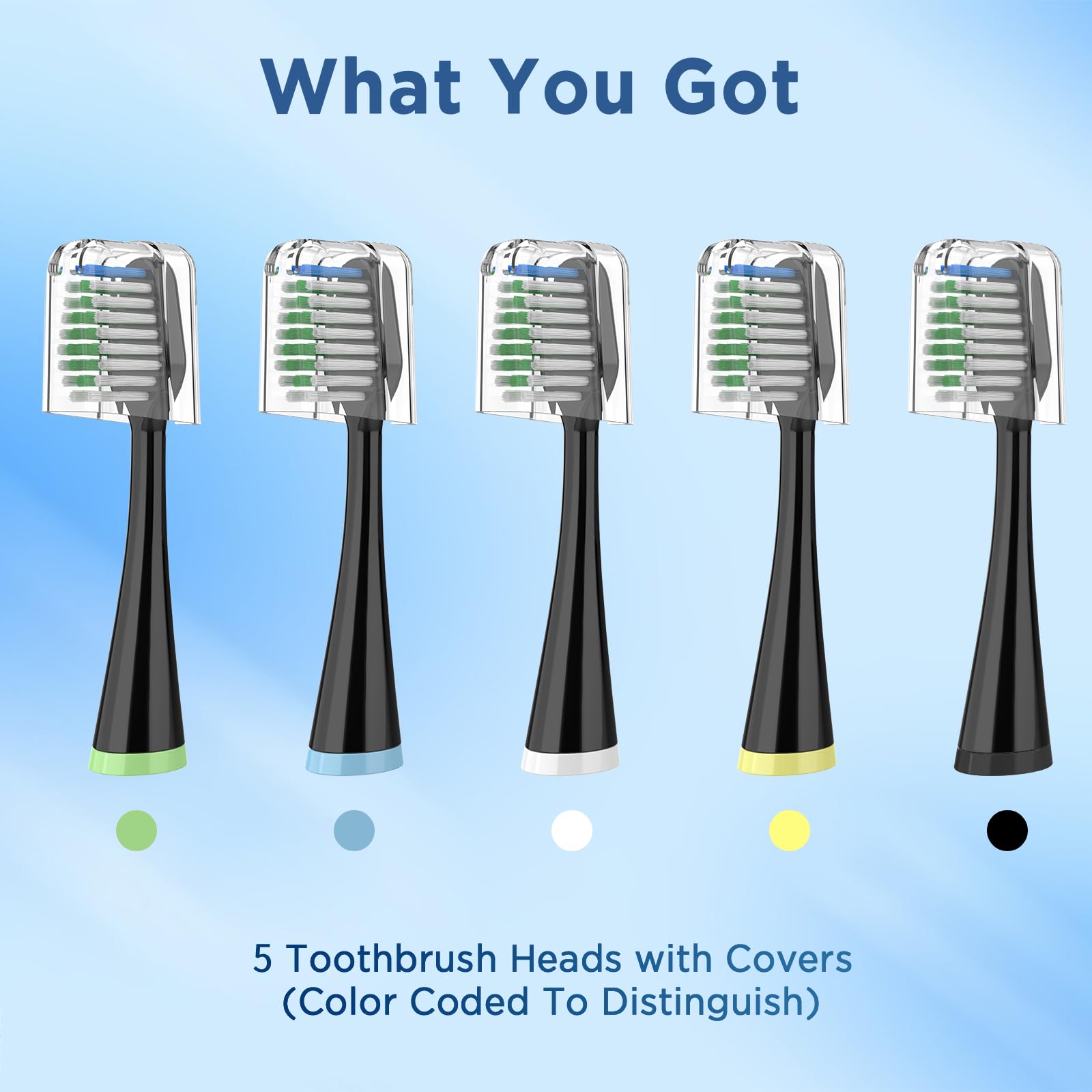 Cabezales de repuesto para Waterpik Complete Care 5.0/9.0 (CC-01/WP-862), 4 unidades, negro, 02 | Cerdas recordatorias, cerdas redondeadas finales, eliminación de placa