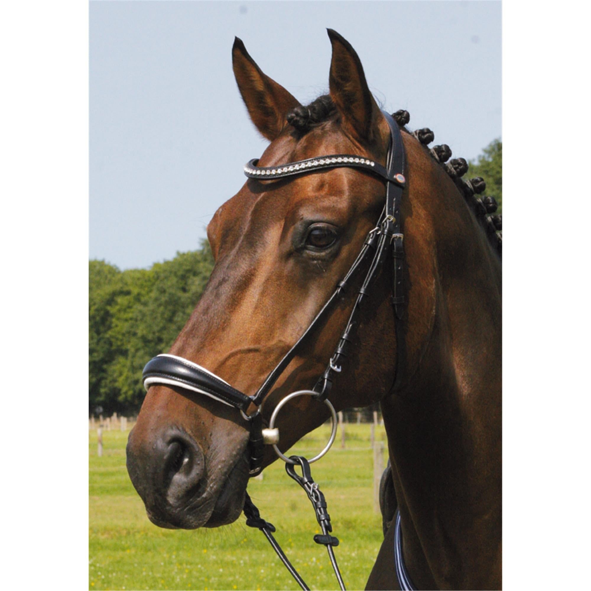 Hans Melzer Trense Valluhn schwarz/Silber hannoversches Reithalfter weiß unterlegt