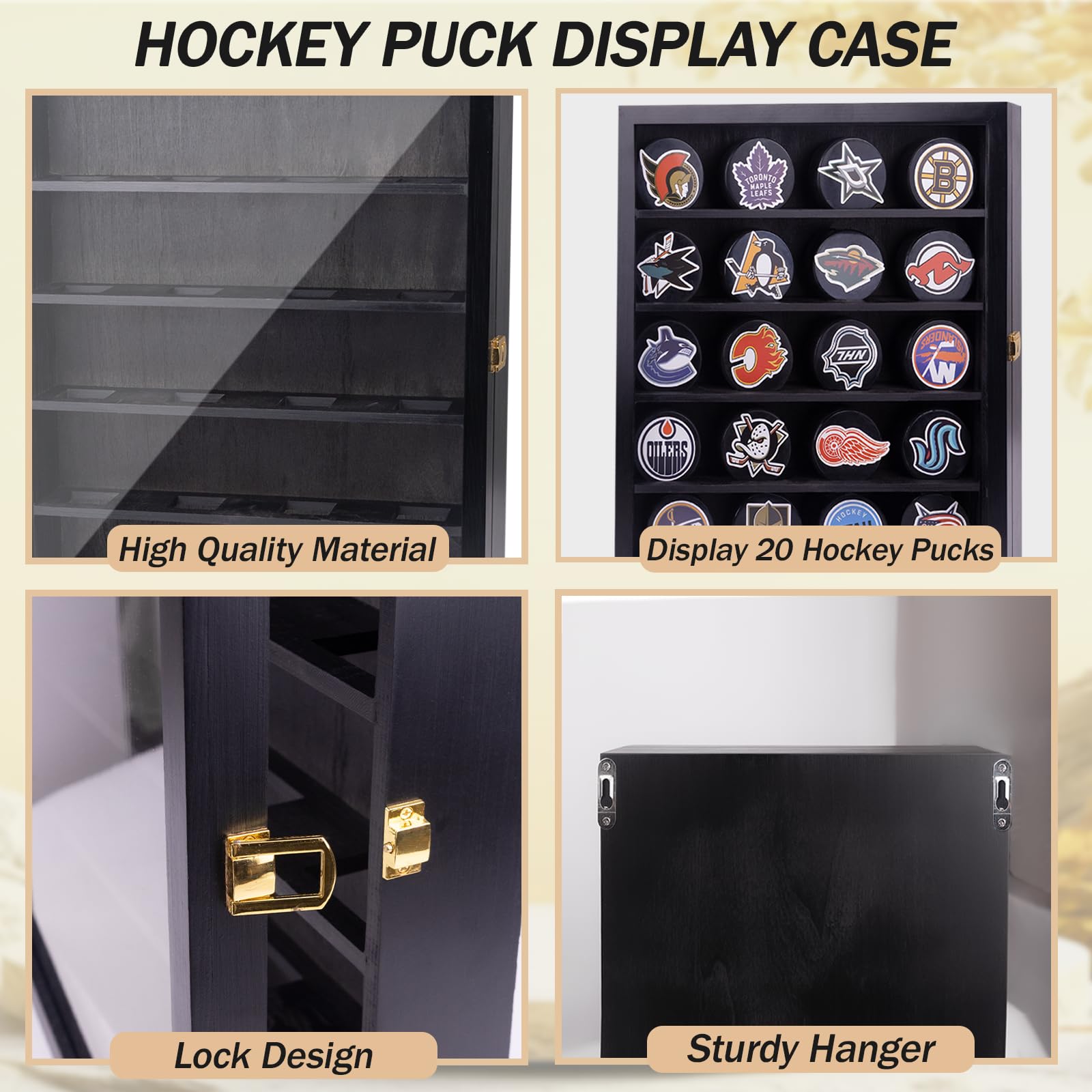 Hockey-Puck-Vitrine