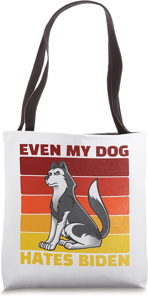 Why Does My Dog Hate Clothes