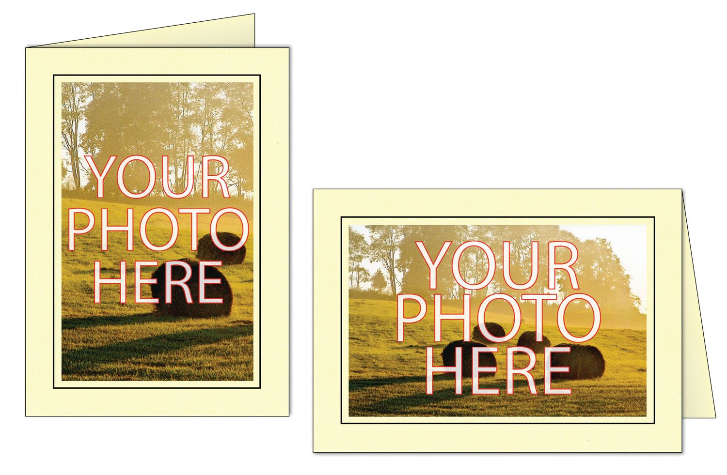 Photographer's Edge, Photo Insert Card, Pear with Black Border, Set of 10 for 4x6 Photos