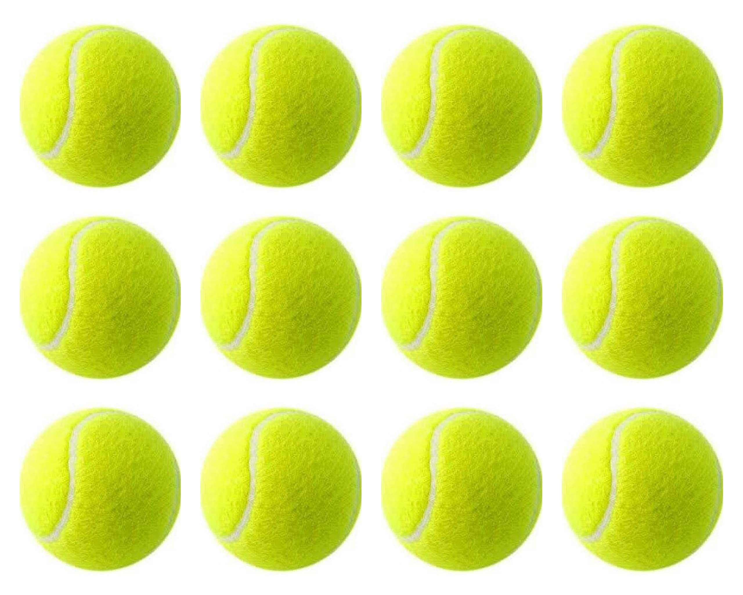 JAGMOOLYA Products Sports Tennis Ball for Cricket and Tennis Game Rubber Cricket Tennis Ball Light Weight Tennis Practice Ball (10) (B094VTY92F) Amazon Price History, Amazon Price Tracker