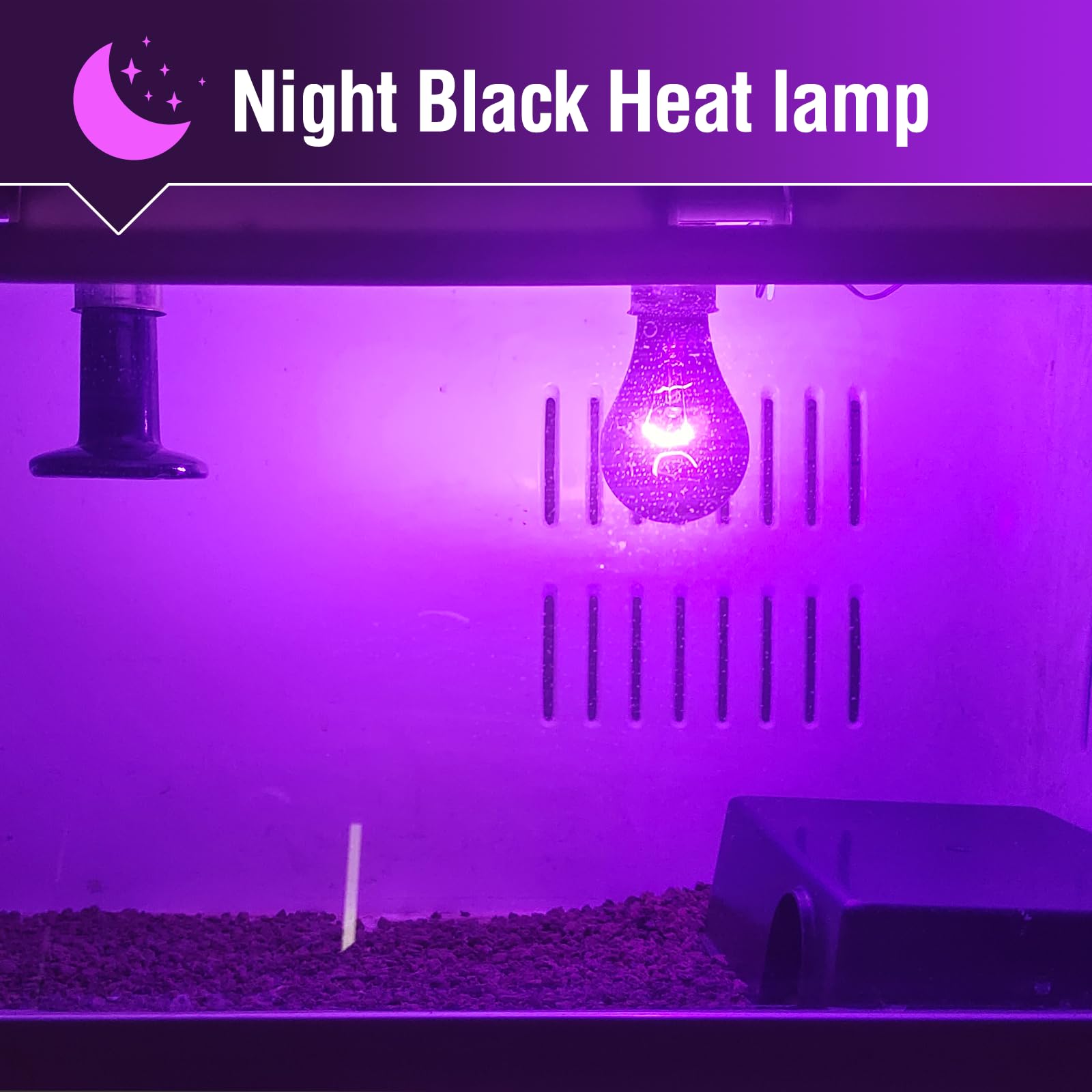 Leoterra Reptile Night Heat Lamp 2-Pack 100W - Purple Moonlight Simulation Bulb 40+Gallons Tank Use for Chameleons, Snakes, Green Iguanas Lizard Use 120V E26 Base 2000+ Hours Long Life - image 3