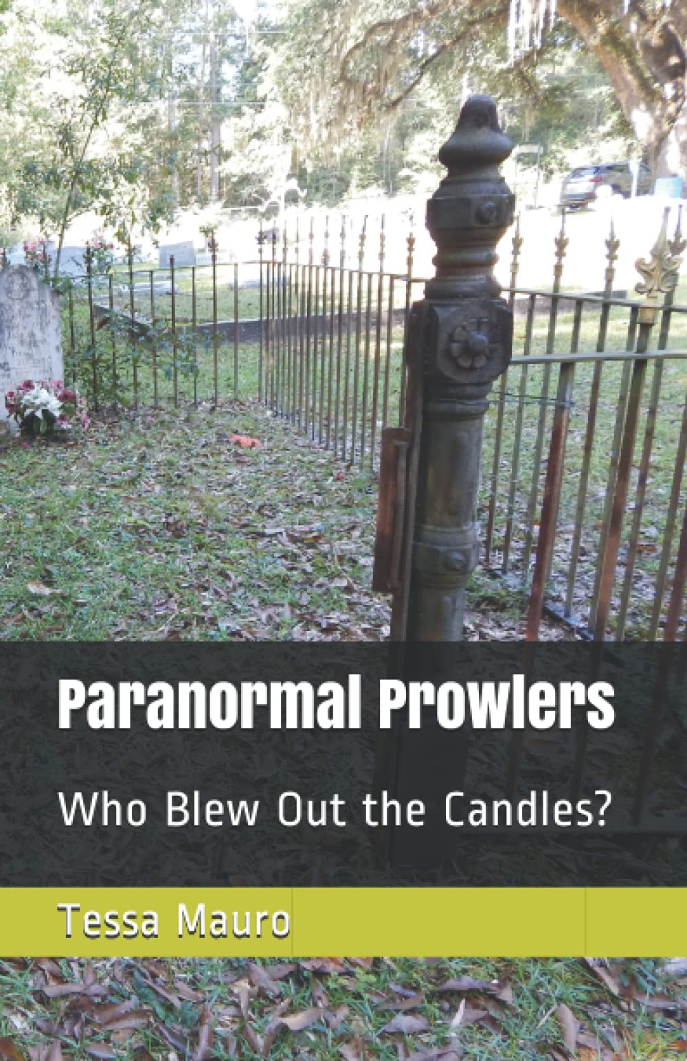 Paranormal Prowlers: Who Blew Out the Candles?