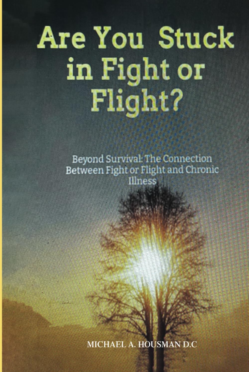 Are you Stuck in Fight or Flight?: Beyond survival