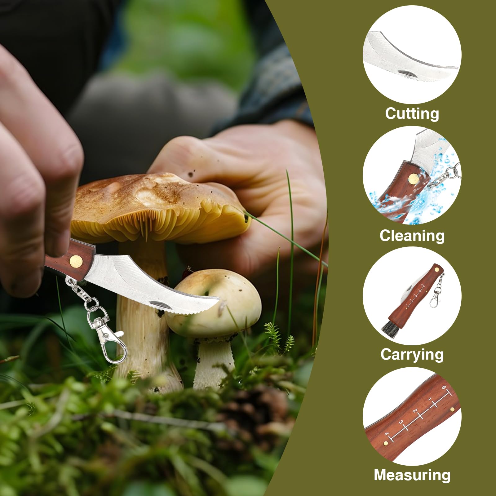 LOMUG Coltello per Funghi, coltello Funghi con Spazzola, Borsa funghi, Guanti, Affilacoltelli, coltello Micologica Manico in Legno Acciaio Inox Coltellino funghi, Borsa da Caccia per funghi Il Foraggi