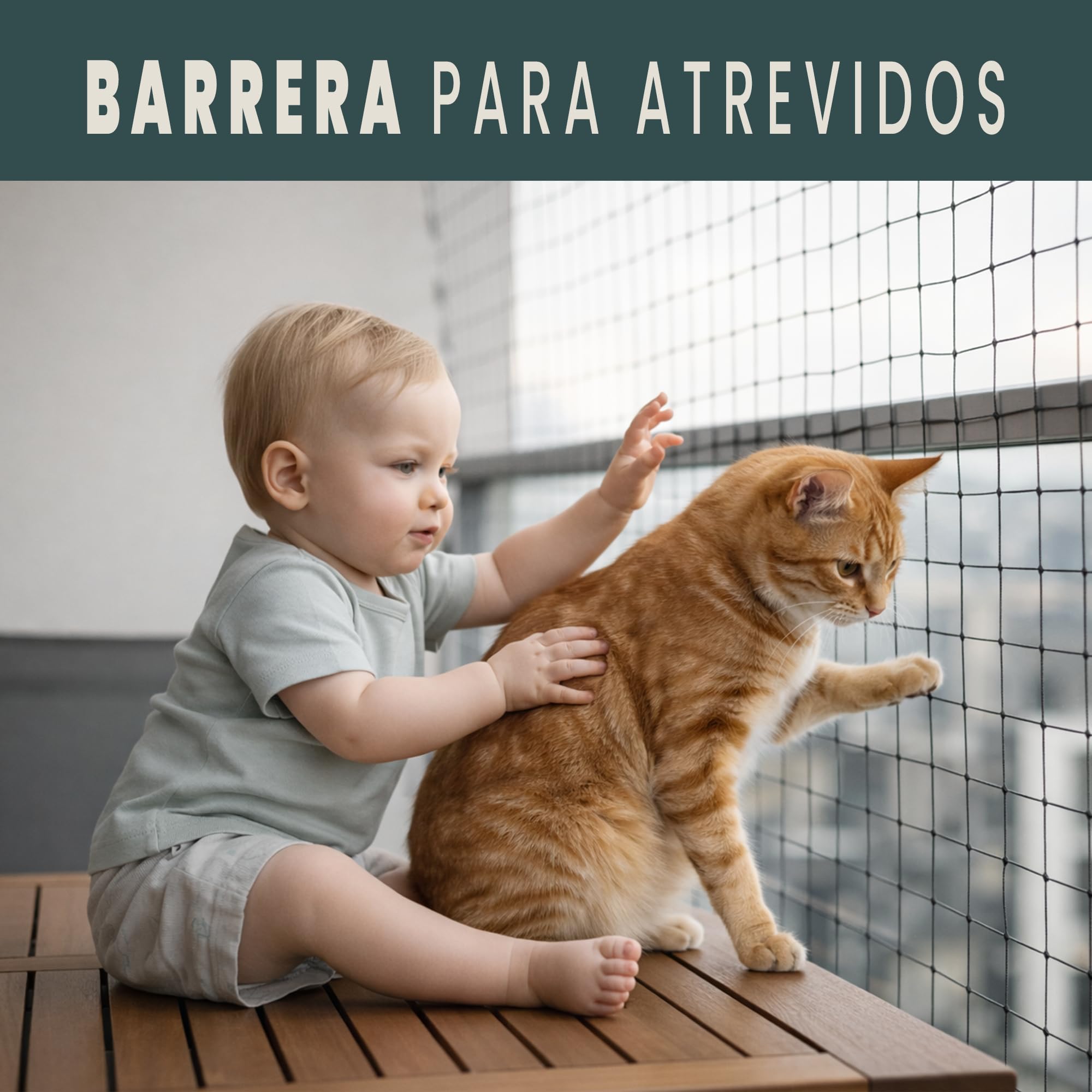 Red Para Gatos 8x3m Seguridad Reforzada Ideal Balcón Ventana Terraza Protección Exterior Interior Malla Antidesgarro Duradera Montaje Kit Completo Ganchos Adhesivos Bridas Juguete Regalo (8x3 metros)
