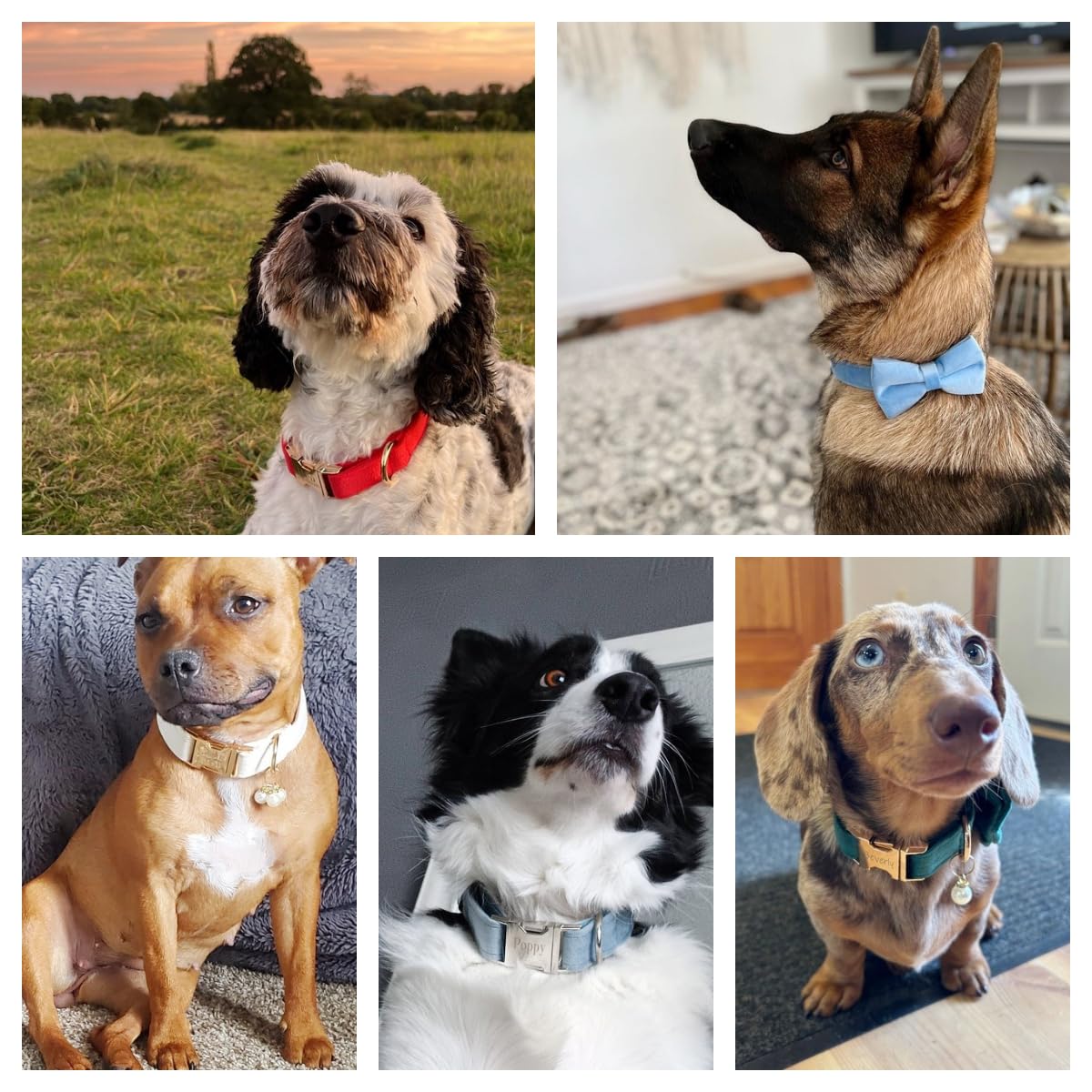 View 6