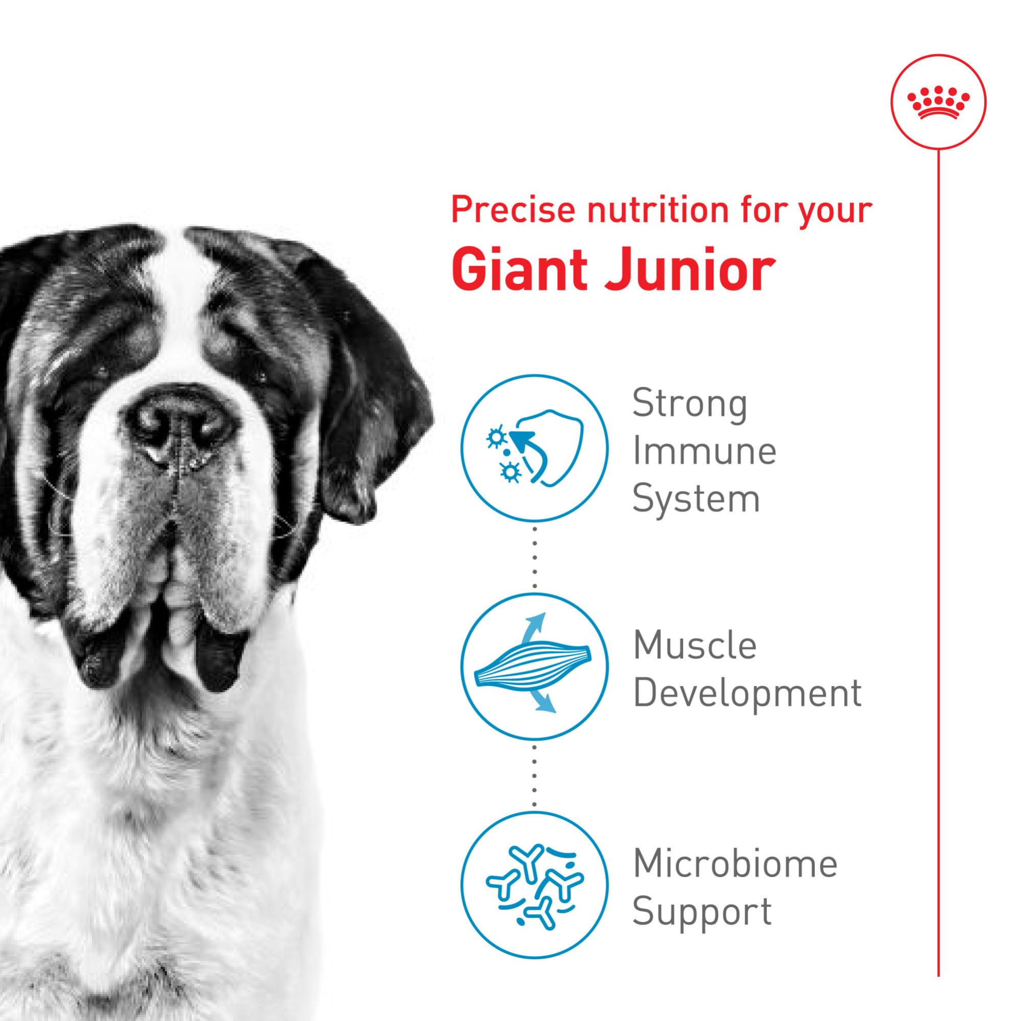 Amazon.com: Royal Canin Size Health Nutrition Giant Junior Puppy