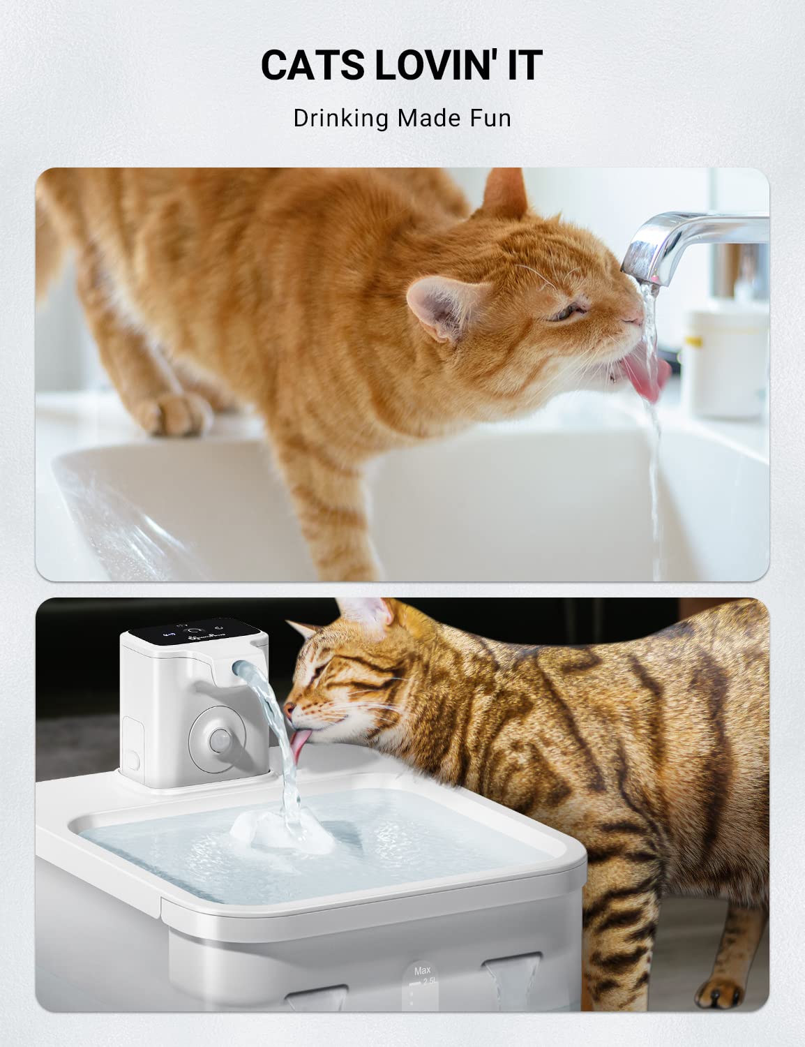 Downypaws Draadloze kattenfontein filter 6 stuks voor DPWFP6 met spons