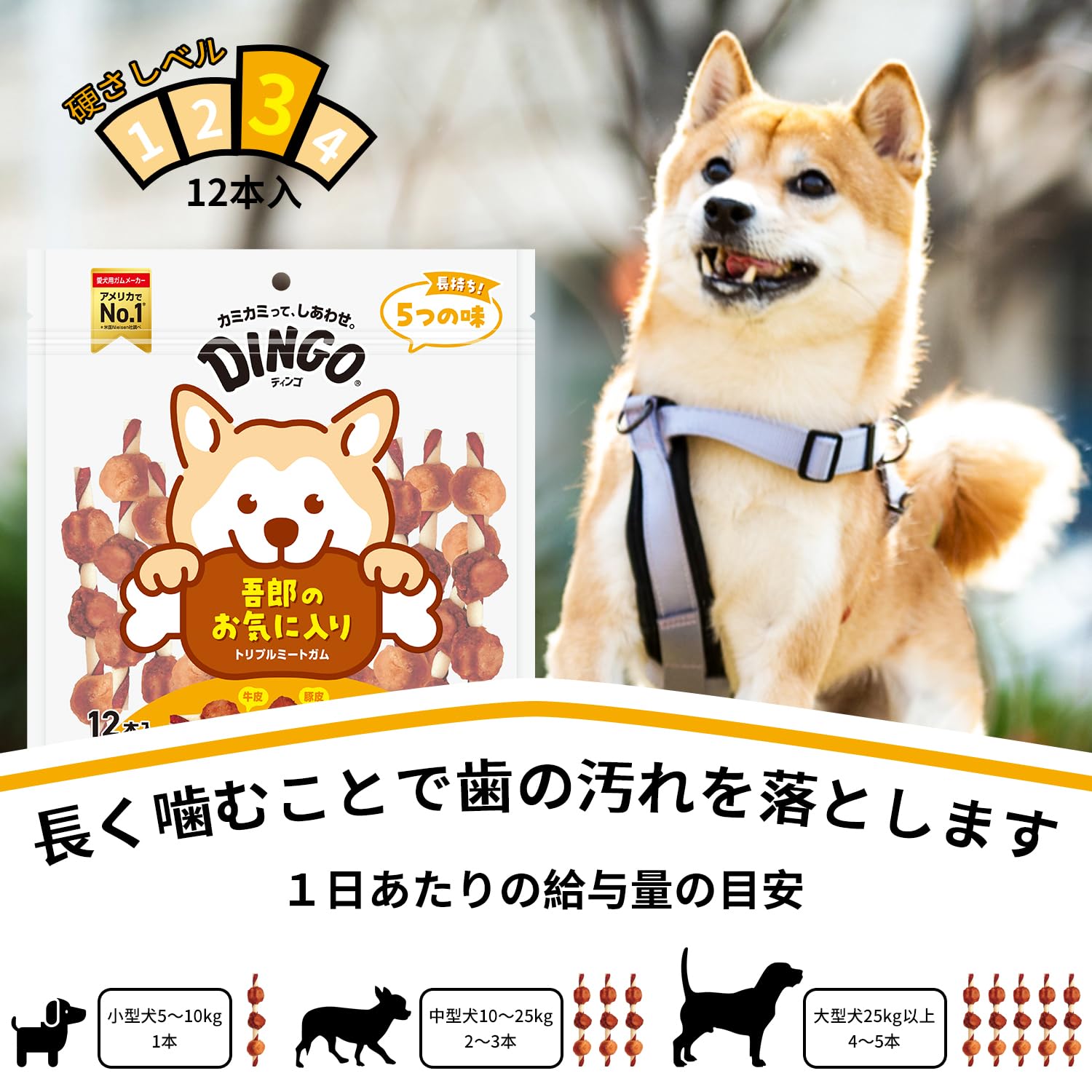 Amazon | ディンゴ (Dingo) 犬 おやつ トリプルミートガム 12本入×3個