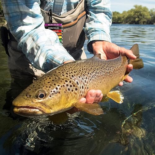 Miniatura 7 de HERCULES Línea de pesca con mosca flotante peso adelante Fly Line con doble lazo soldado
