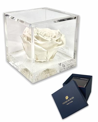 S1018 Luxury Rose Stabilizzate Vere in Cubo più spesso Luxury