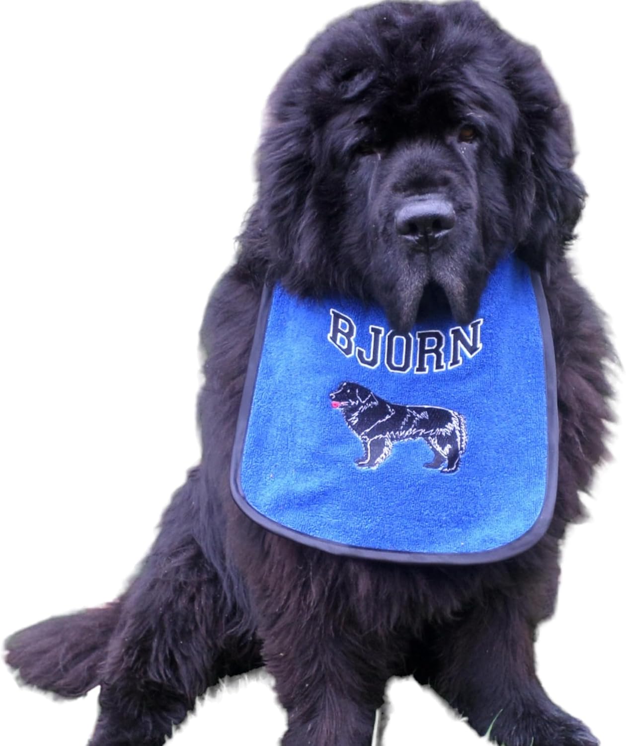 Doggies World Personalized Newfoundland Drooling Bib – Waterproof Slobber Protection for Large & Heavy-Drooling Dogs, Customizable Design, Washable, Adjustable & Durable