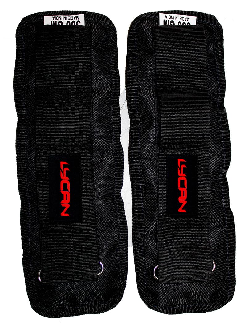 Lycan ankle * wrist weight * running weight * exercise weight * (500 GRAM PAIR) (B0D37TP9V7) Amazon Price History, Amazon Price Tracker