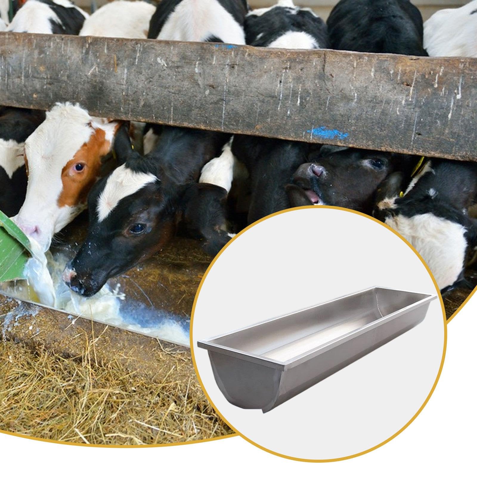 Mangeoire pour chèvres en Acier Inoxydable, Facile à Nettoyer, Abreuvoir pour Moutons, Chevaux, Vaches et chèvres