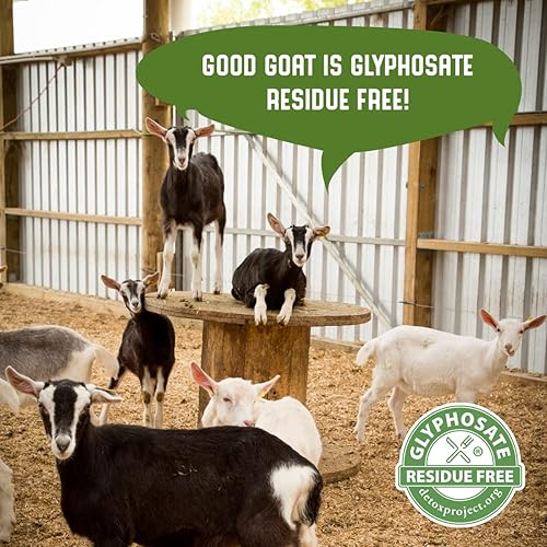 Miniatura 7 de Good Goat Milk Company - Ghee de leche de cabra - Mantequilla de cabra clarificada de Nueva Zelanda  Paleo, Keto Friendly, Sin OMG, hormonas,