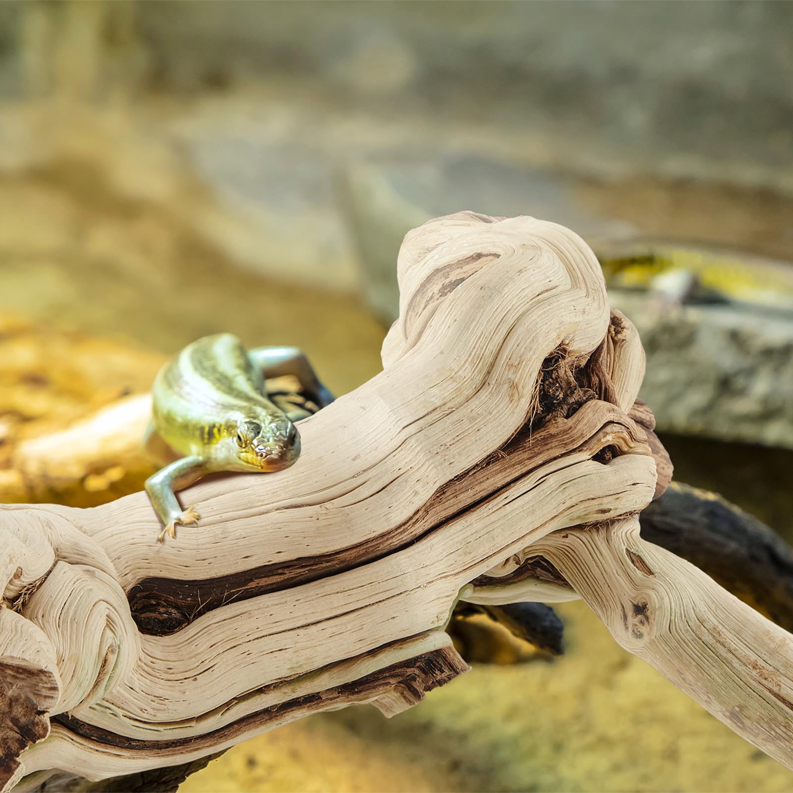 Janinka Rama grande de madera para reptiles para dragón barbudo de 15 a 17 pulgadas de longitud, madera flotante, decoración de hábitat para terrario, árbol, tronco, adorno de geco, rana, camaleón