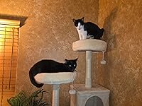 Review Image by DragonQueen DragonQueen