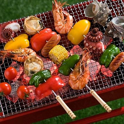SAI INDER KALA Stainless Steel BBQ Skewers Barbecue Kabob Grilling Sticks Set of 12