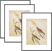 FkvatPictureFrame 11x14 Black Metal Picture Frame Set of 3 with HD Glass - Fits 8x10 w/Mat, Wall/Tabletop Mount, Modern Aluminum