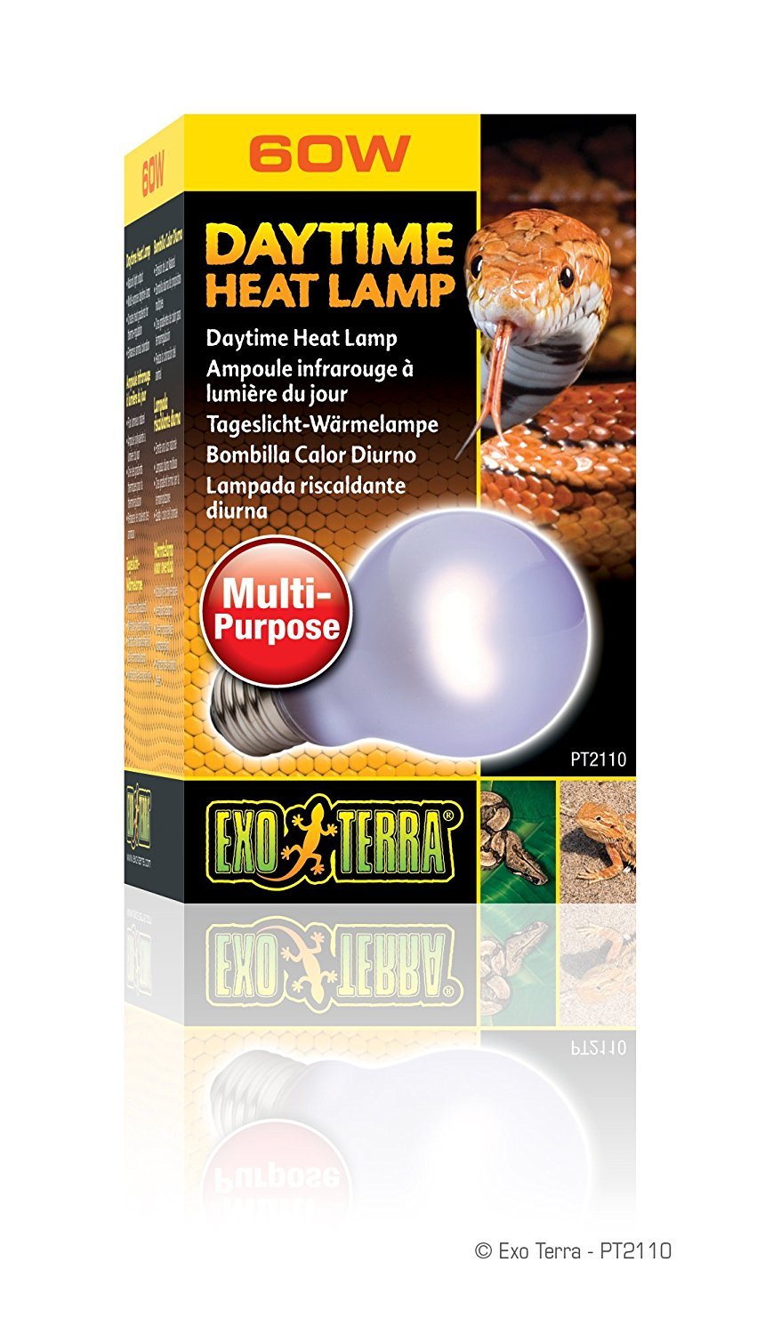 Buy Exo Terra SunGlo Neodymium A19 Lamp, 60Watt Online at Low Prices