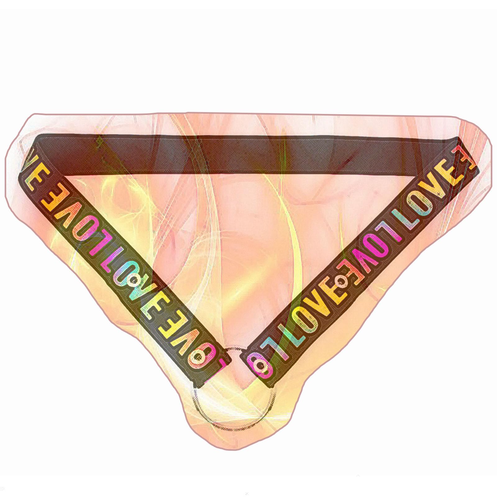 Special Anti-Slip Belt for Male Cage, Adjustable Elastic Straps for Male Protection Cage -USHA29 (Colorful, Two-Way)