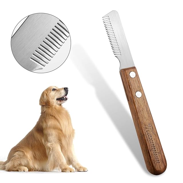 Foto 2 de 8 de Cuchillo de corte para perros con mango de madera sin filo duro Dachshund Terrier de pelo fino