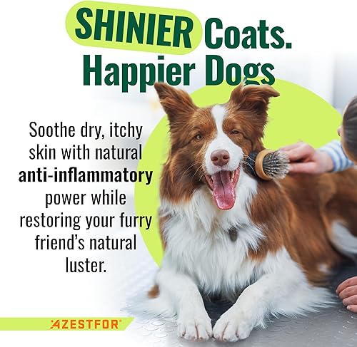 Miniatura 4 de Azestfor Mejillón de labios verdes antiinflamatorios para perros en polvo