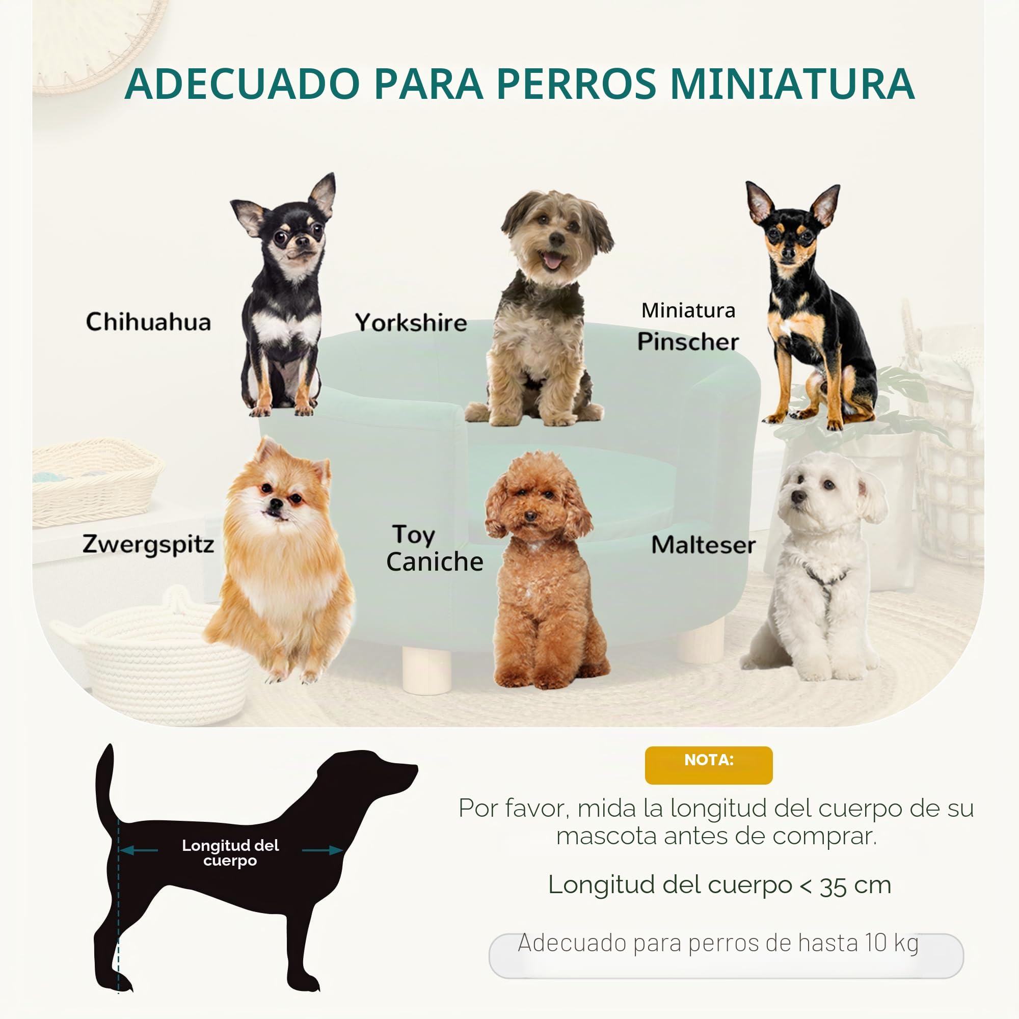 PawHut Sofá Moderno en Forma de Nido para Gato o Perro Miniatura Verde | Respaldo envuelto, cojín suave