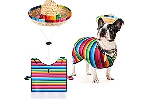 Cinco De Mayo Pet Serape Poncho Costume
