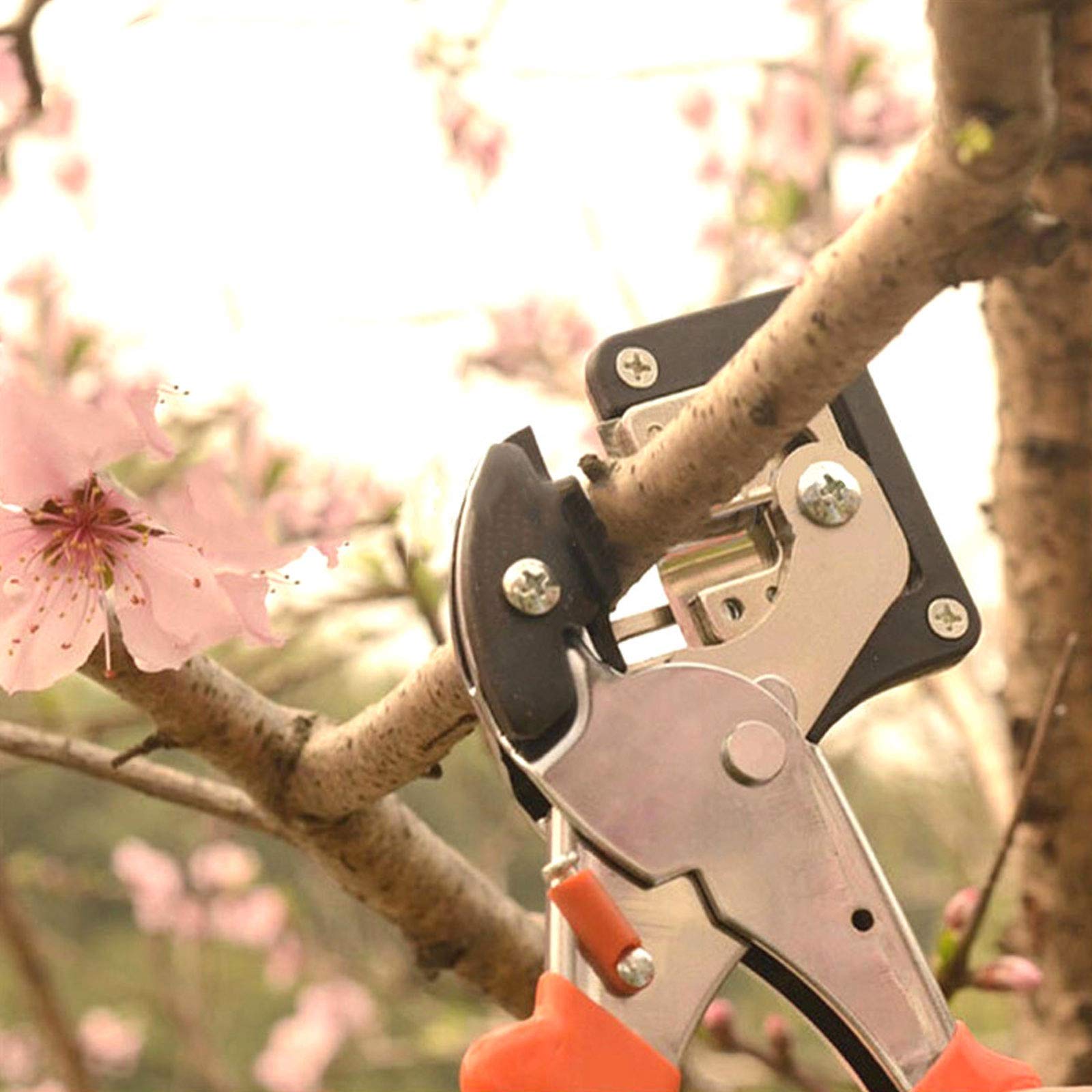 Forbici per Innesto e Potatura Forbici Innesto Professionale Kit, Giardino Innesto Kit Professionali Cesoia Forbici da Potatura Set da Giardinaggio, Facile da Usare, Design Ergonomico Dell'impugnatura