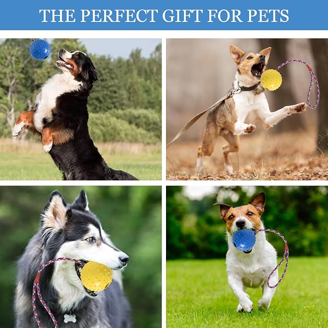 Foto 5 de 7 de Disnace 2 Piezas Pelota de Juguete para Perros,Pelotas de Perro para Limpieza,Pelotas de Comida…