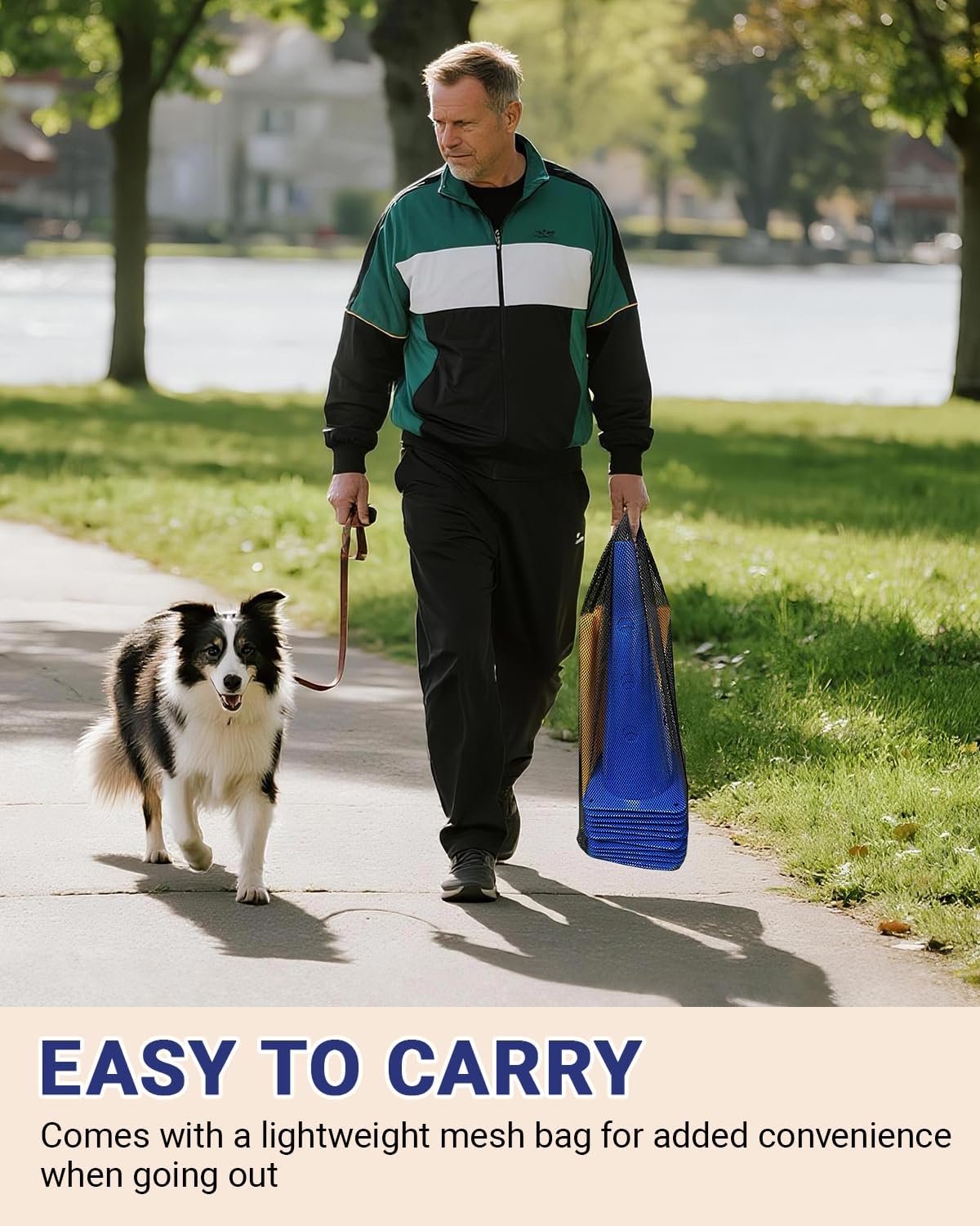 Juego de agilidad para perros pequeños Cavaletti, accesorios para caballo, accesorios de entrenamiento de fútbol, ayudas de educación, 23 cm de altura, 10 conos, 5 barras, bolsa de malla