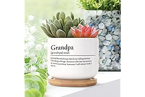 El Padre Maceta: Ceramic Planter with Christian Quote