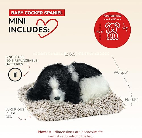 Miniatura 2 de Mini Baby Cocker Spaniel, animales de peluche para niñas y niños, juguetes para perros para niños y ancianos, juguetes para mascotas vivas que