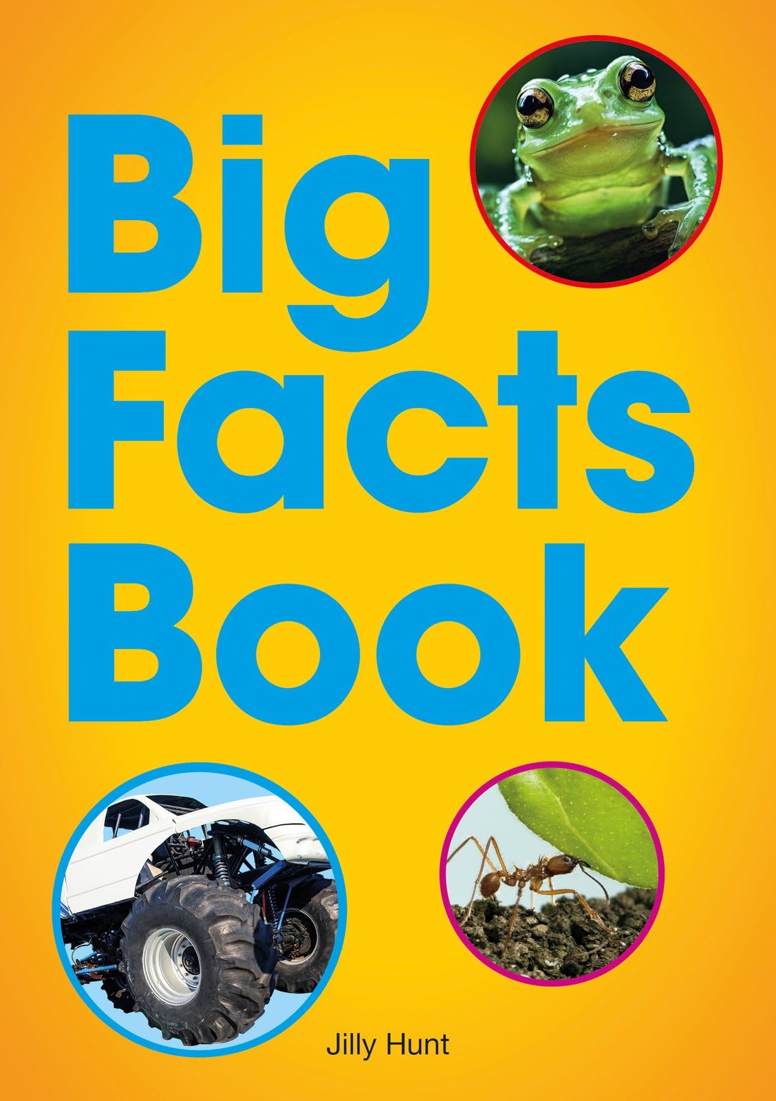 Big Facts Book - high-low decodable reader for ages 7+ (Striders Phonics Readers)