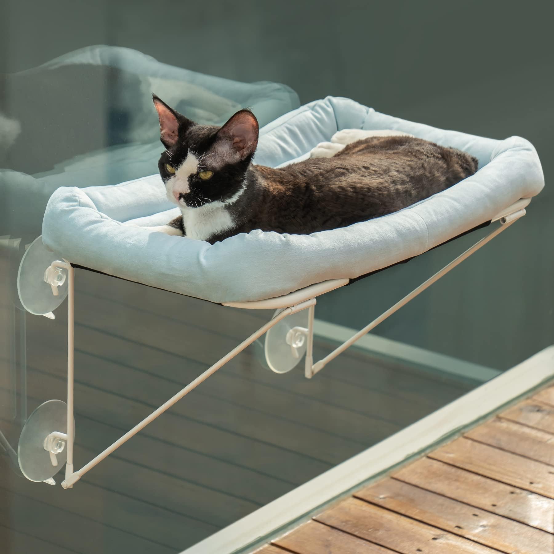 MEWOOFUN Hamaca Plegable para Ventana de Gatos, 52 x 30 cm, 100% de Metal, Hamaca para Ventana de Gato con Cama para Mascotas para Gatos, soporta hasta 18 kg, Azul