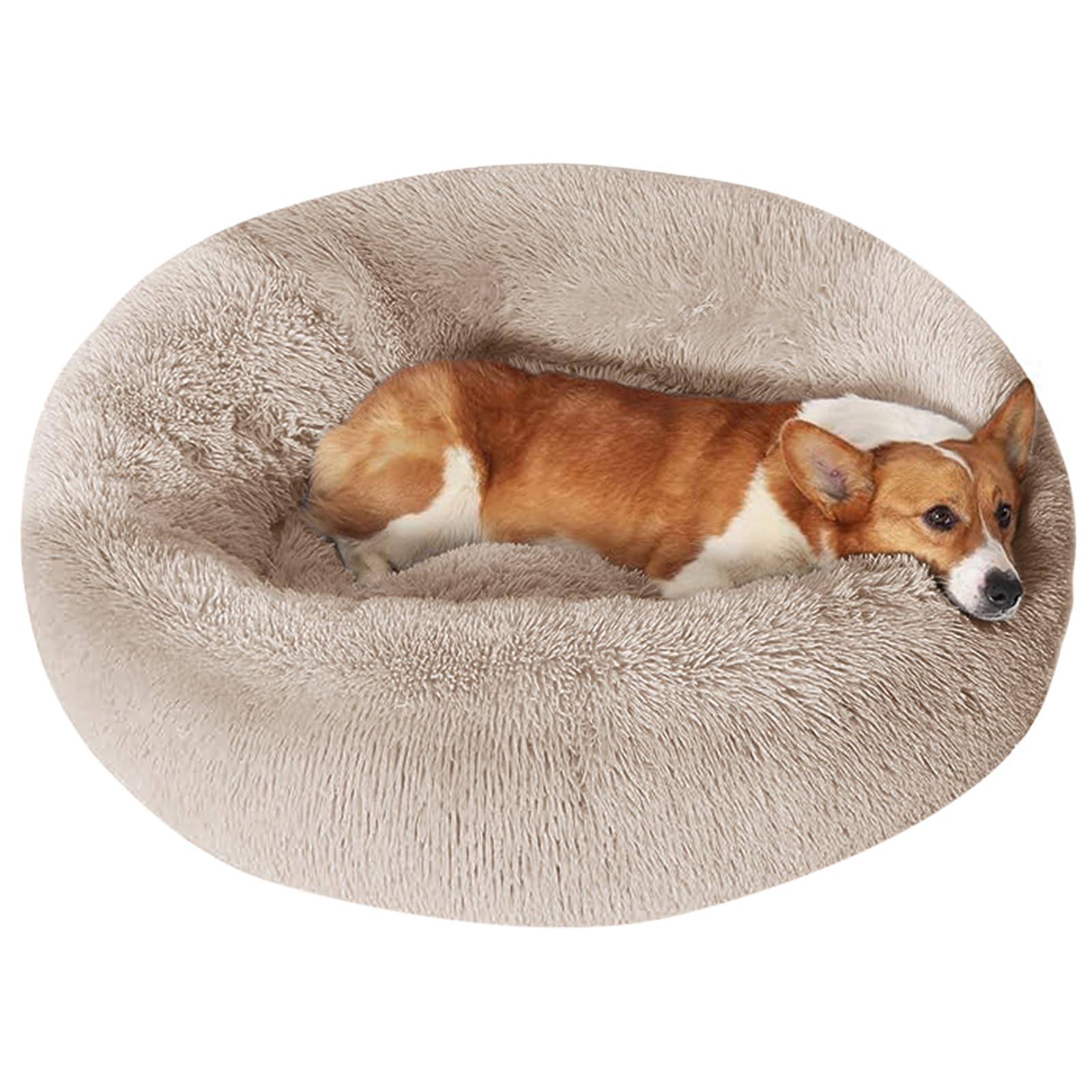 JOLLYVOGUE Dog Bed, Calming Anti-Anxiety Large Dog Bed, Fluffy Donut Cushion for Medium and Large Pets (27"/30"/36") ( USED)