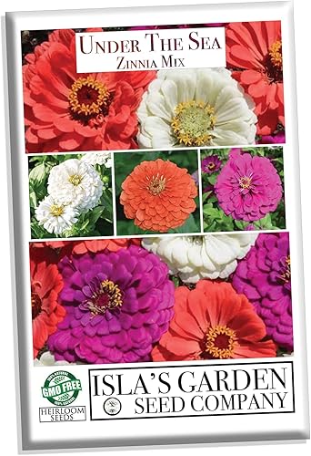 Semillas de zinnia "Under The Sea Mix" para plantar, más de 200 semillas de flores por paquete, semillas de jardín de Isla (semillas de jardín de